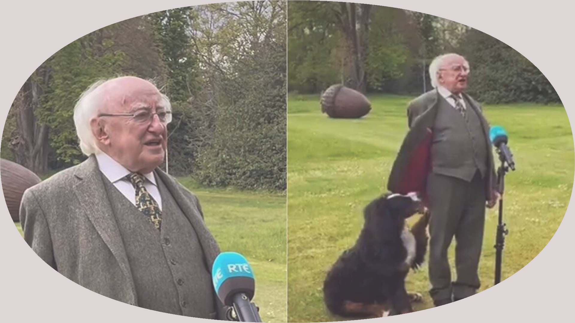 DogIrishPresident